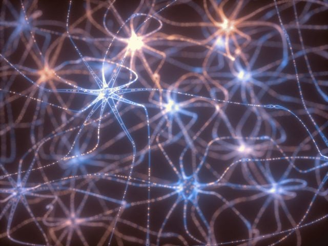 Fale mózgowe (5 typów) oraz trening neurofeedback 1 Neurony - sygnał elektryczny