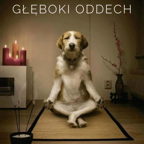 medytacja oddechu oddech