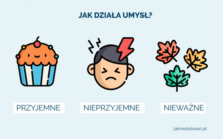 spokój umysłu jak działa umysł